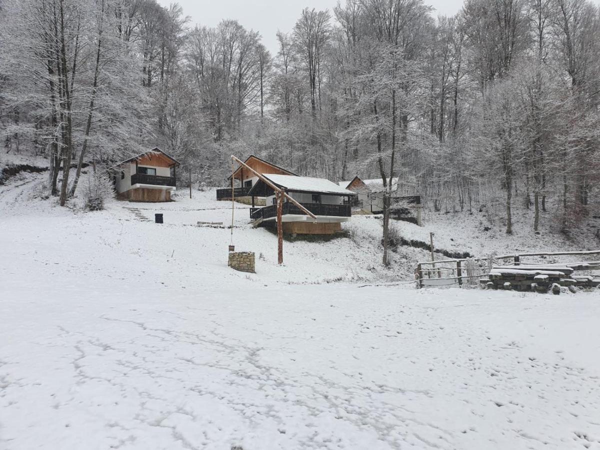 Satu Muscelean Hotel Albestii de Muscel Kültér fotó